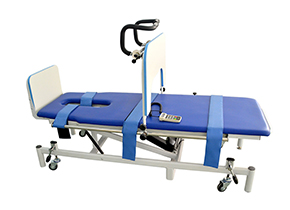 Electric upright bed